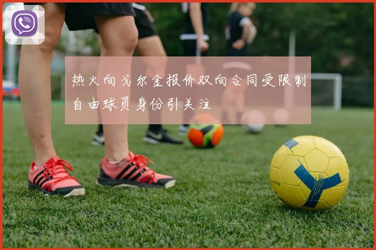 热火向戈尔金报价双向合同受限制自由球员身份引关注
